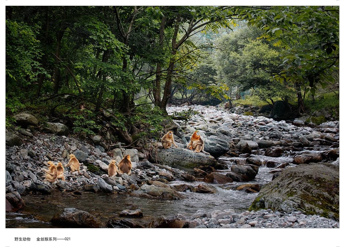 Ұ  ˿ϵ-021  DSC_1757.JPG