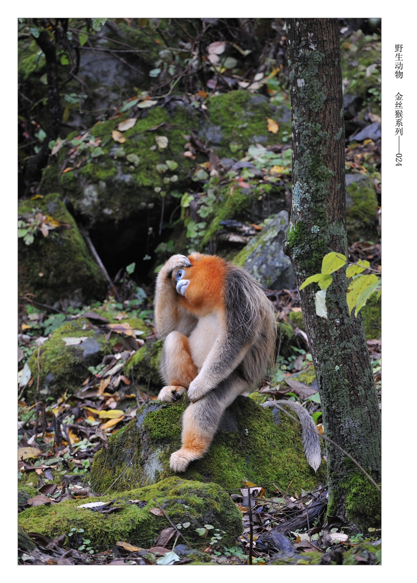 Ұ  ˿ϵ-024 923_1539.JPG